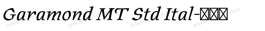 Garamond MT Std Ital字体转换